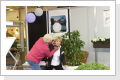 Klicken Sie auf das Bild, um es zu vergr&ouml;&szlig;ern
